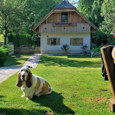 Vila Jana Radovljica Eksteriør bilde