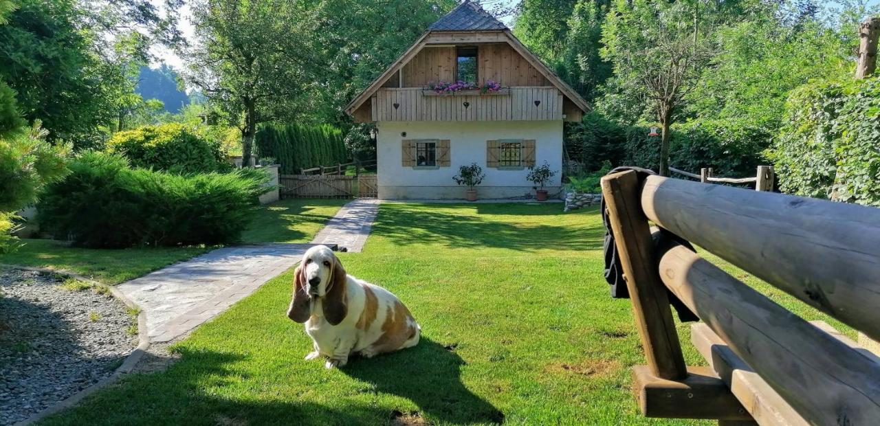 Vila Jana Radovljica Eksteriør bilde